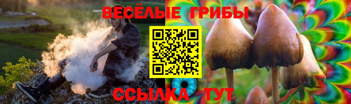 Галлюциногенные грибы Cubensis  Вход с VPN  Лангепас  Псилоцибиновые грибы ЛСД 